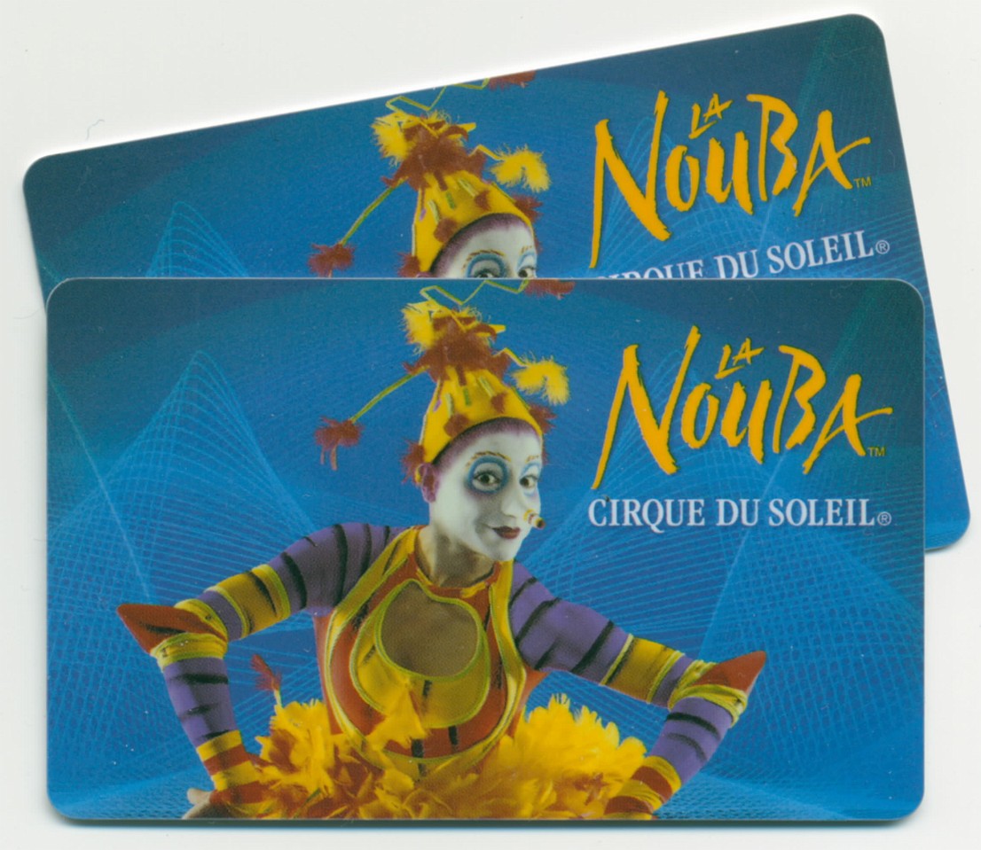 Vacation 2007-12 - Beaches Disney Hotels 0010.jpg - One of the highlights of the trip - Cirque Du Soleil presentationof La Nouba.